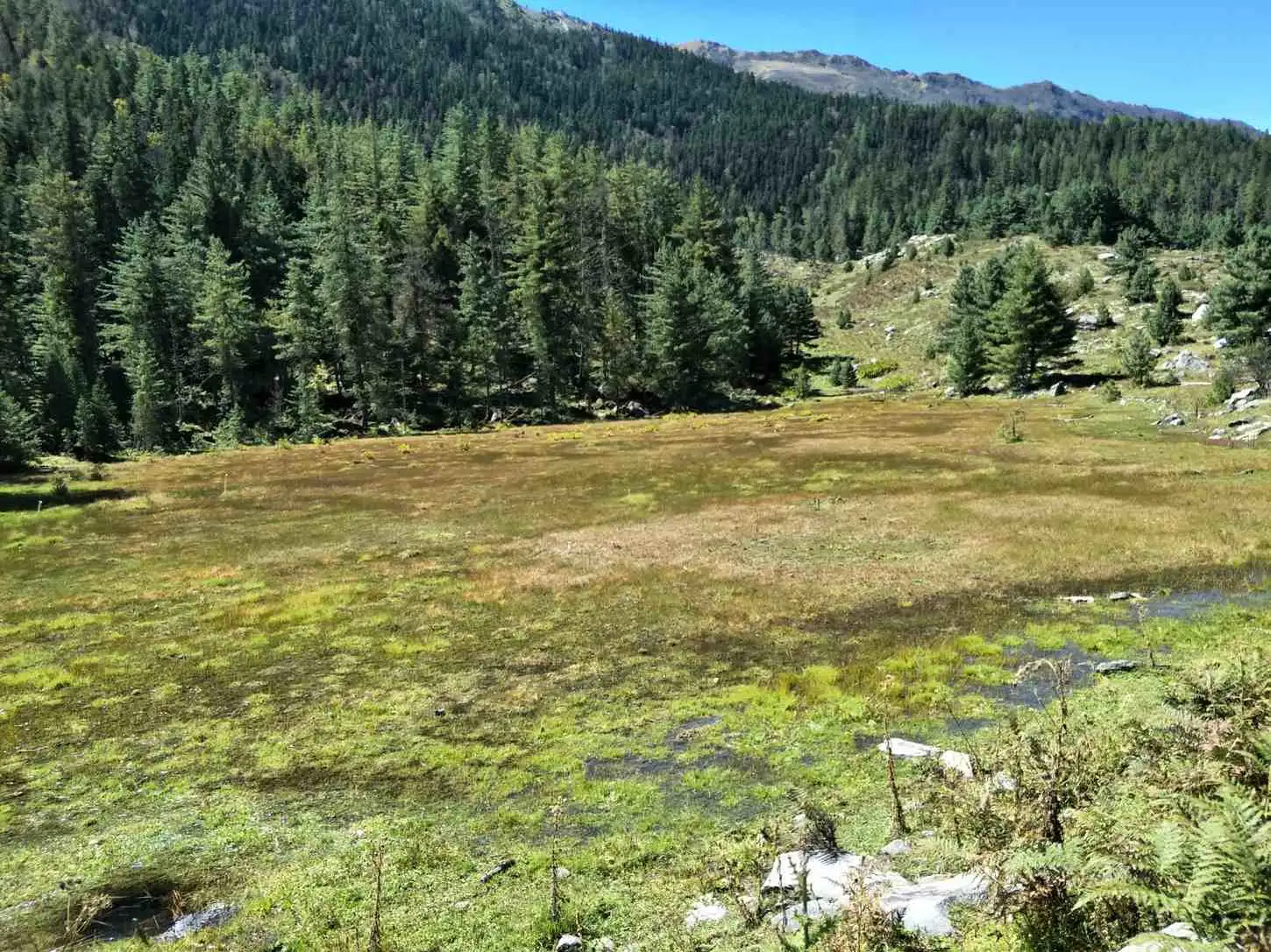 Sattal Trek