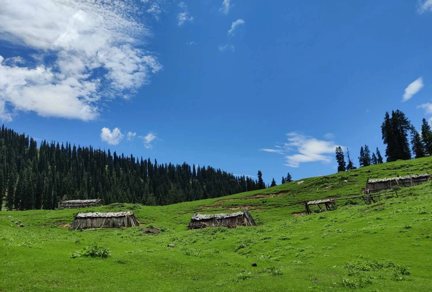 Harunta Bugyal green meadow scenic view Uttarakhand Himalayas