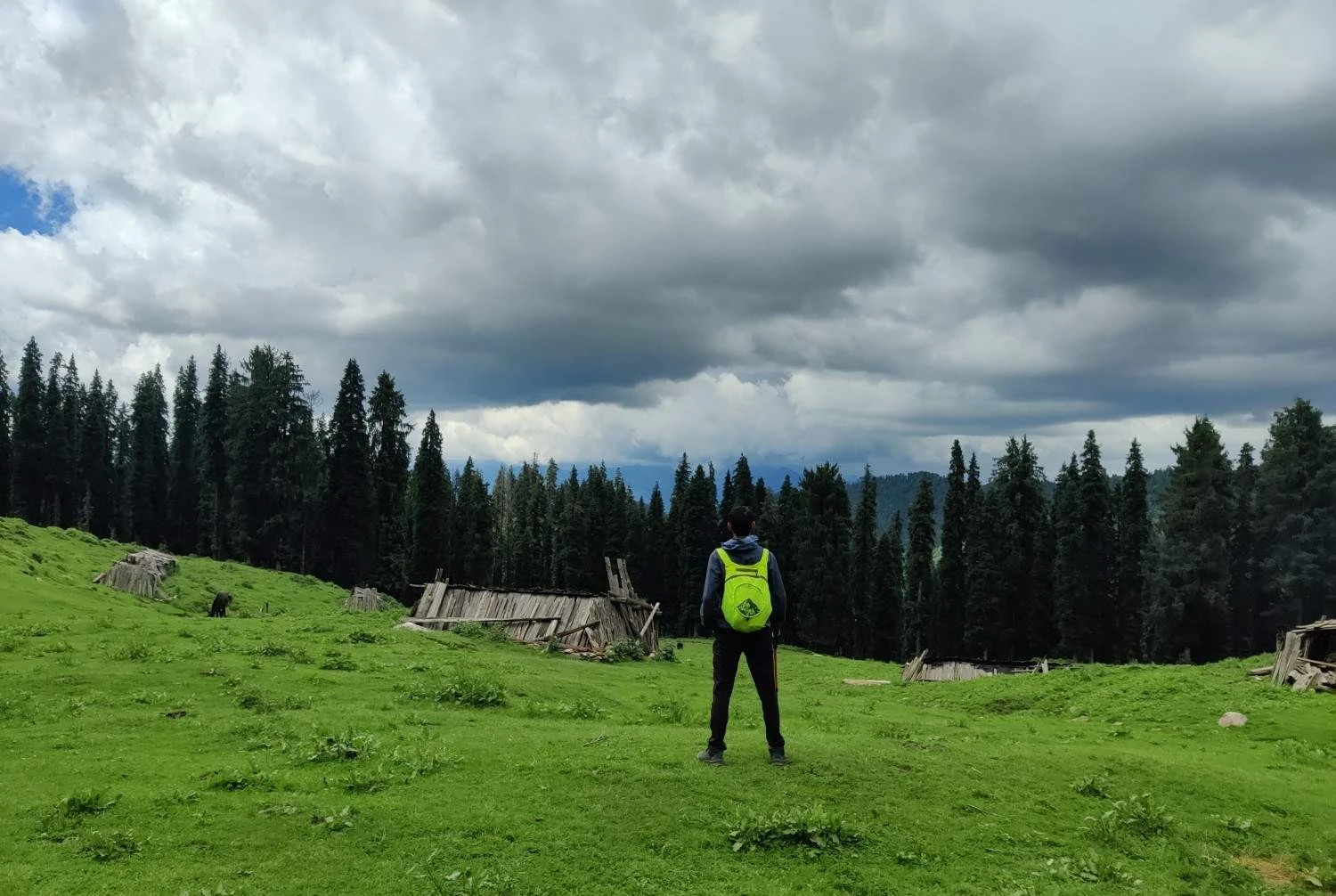 Harunta Bugyal green meadow scenic landscape Uttarakhand Himalayas