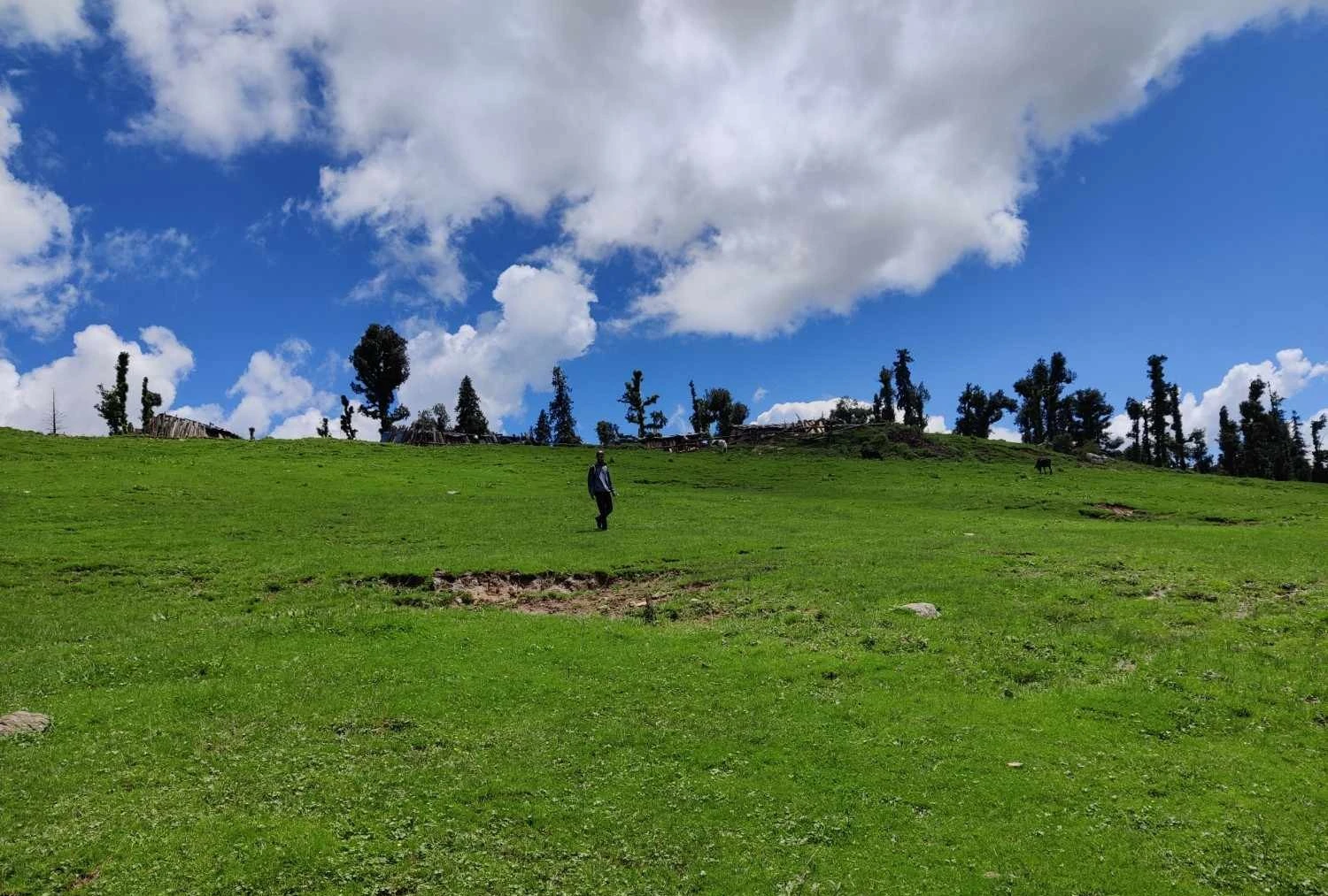Harunta Bugyal valley surrounded by Himalayan peaks