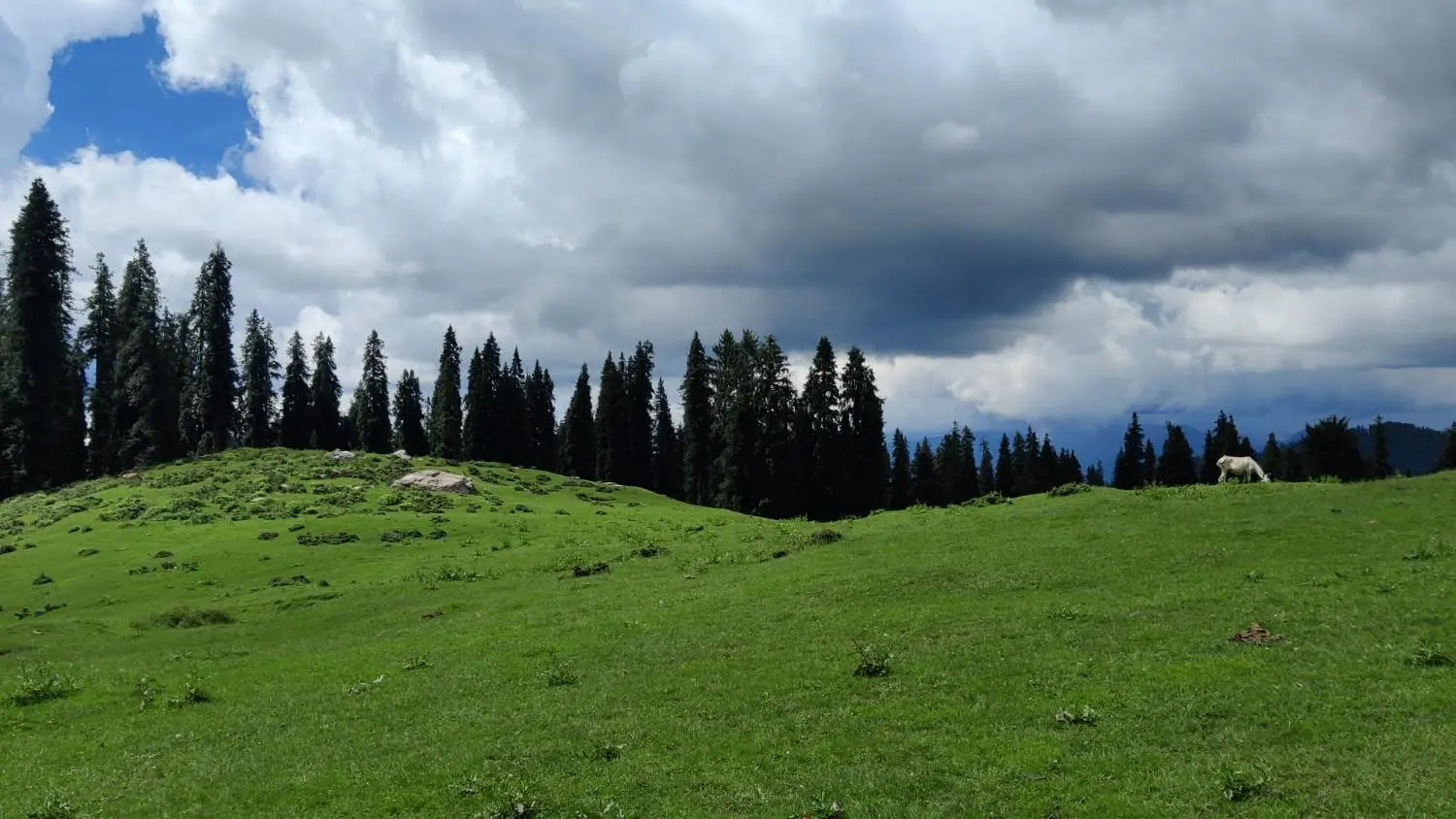 Cloudy weather over Harunta Bugyal grassland Uttarakhand