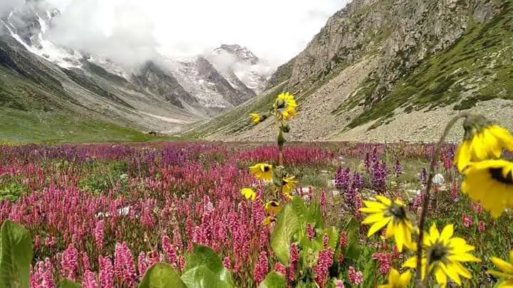 Kyarkoti Trek