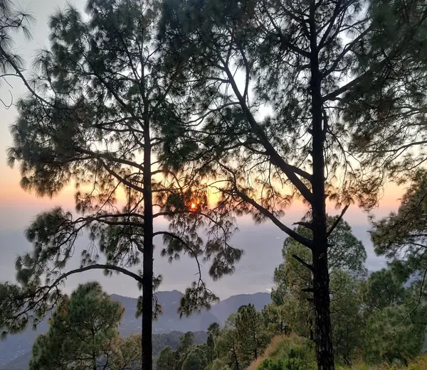 Gilbert Trail