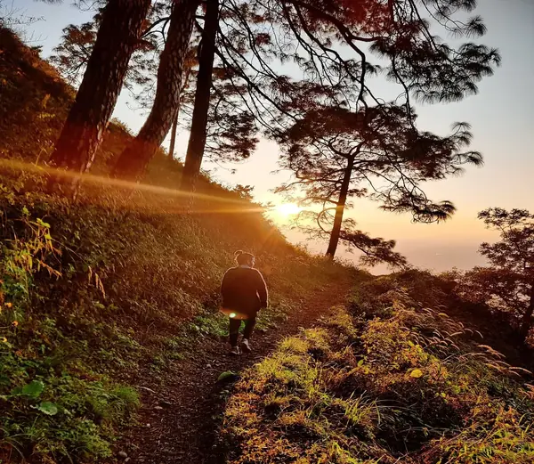 Gilbert Trail