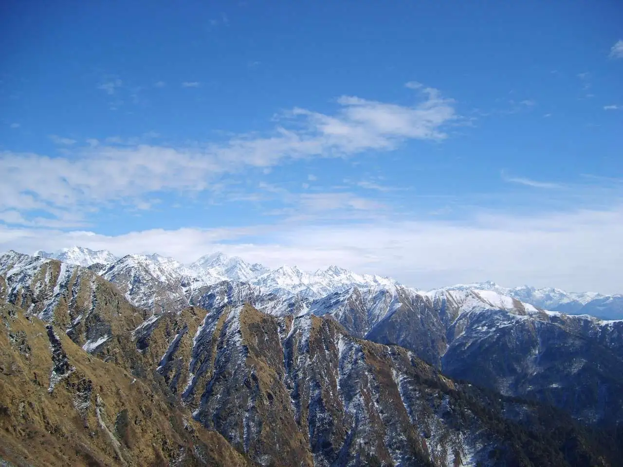 Dodital Trek